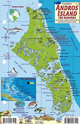 bahamas map and reef creatures guide franko maps laminated fish card PDF