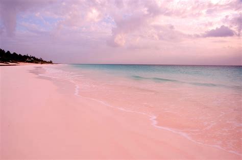 bahamas pink sand beach