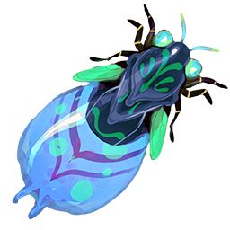 bahari glowbug