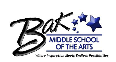 bak msoa logo: The Ultimate Guide to Design and Use