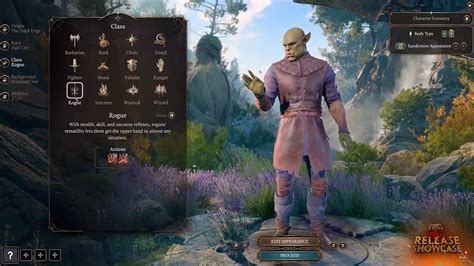 baldurs gate 3 customization