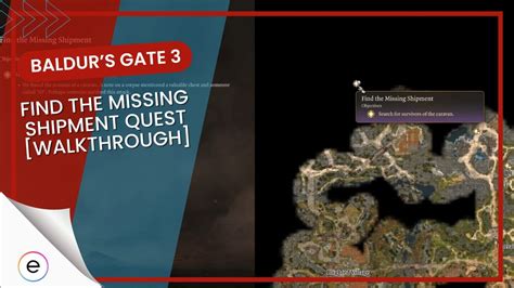 baldurs gate 3 find the missing shipment