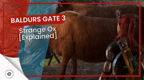 baldurs gate 3 strange ox