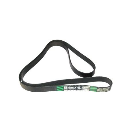 Banda Gates Cat Logo