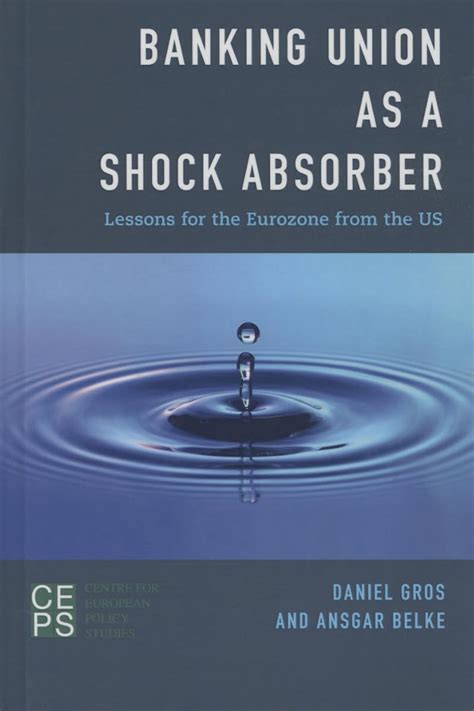 banking union shock absorber eurozone Kindle Editon