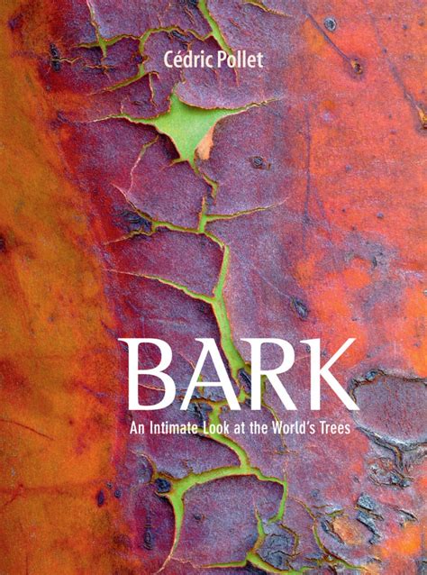 bark an intimate look at the worlds trees Doc