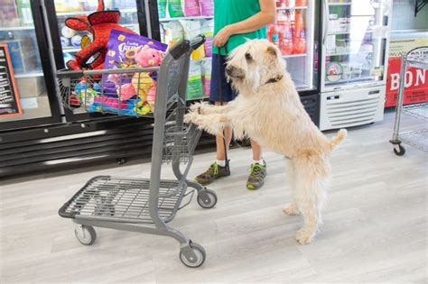 bark avenue pet supply