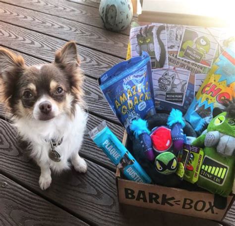 barkbox for cats