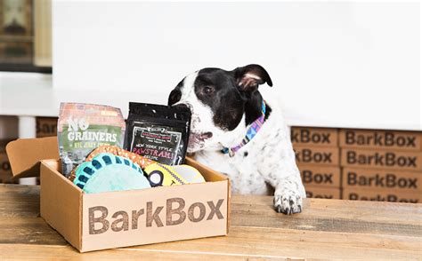 barkbox jobs