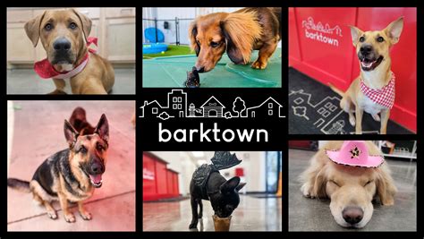 barktown