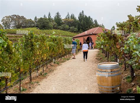 barnett winery napa valley