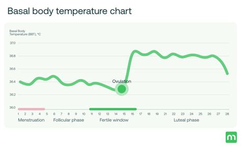 Basal Body Temperature Chart