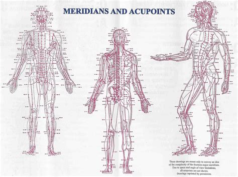 basic acupressure the extraordinary channels and points Reader