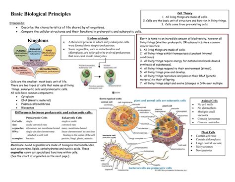 basic biology study guide Reader