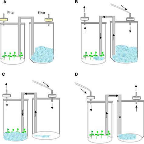 basic bioreactor design basic bioreactor design Epub