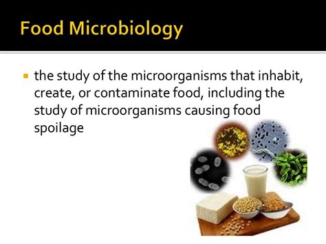 basic food microbiology PDF