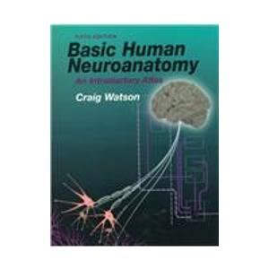 basic human neuroanatomy an introductory atlas Doc