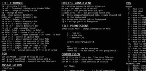 basic linux commands multiple choice questions answers Doc