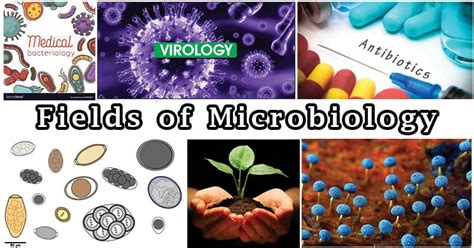 basic microbiology with applications biological science series Doc