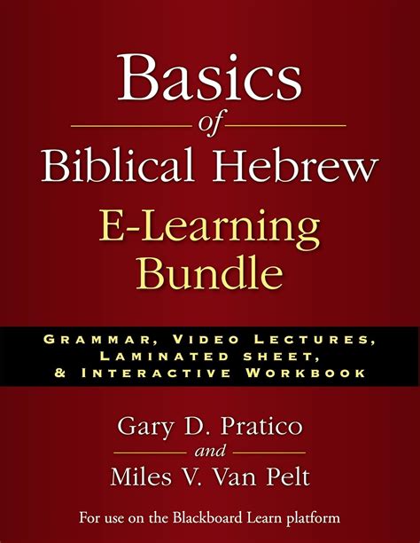 basics of biblical hebrew e learning bundle grammar video lectures laminated sheet and interactive workbook Doc