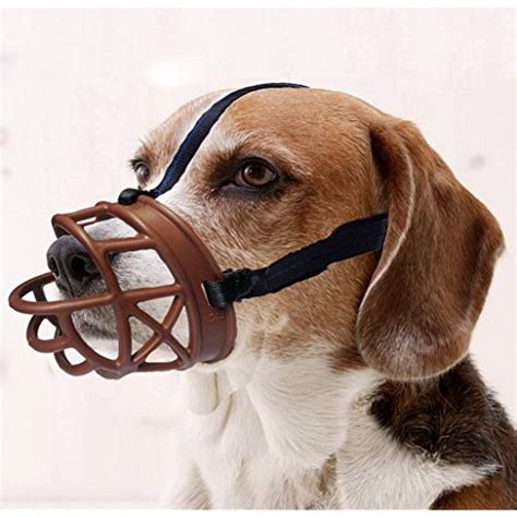 basket muzzle