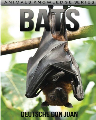 bats beautiful pictures interesting knowledge PDF