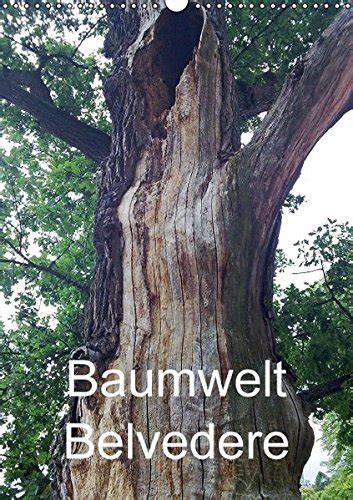 baumwelt belvedere wandkalender 2016 hoch Doc