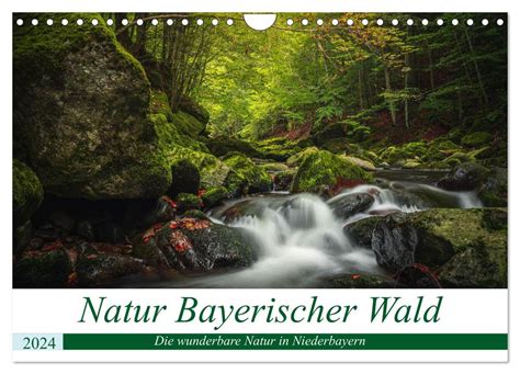 bayerischer wald wandkalender mittelgebirges monatskalender Kindle Editon