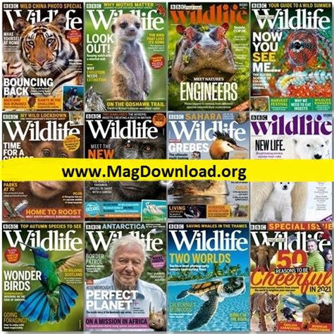 bbc wildlife pdf download Reader