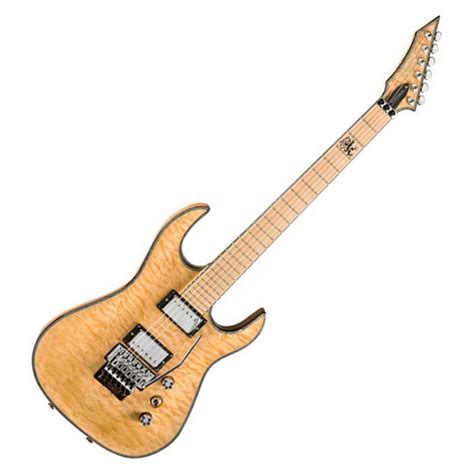 bcrich zoltan bathory signature asm guitars owners manual Reader
