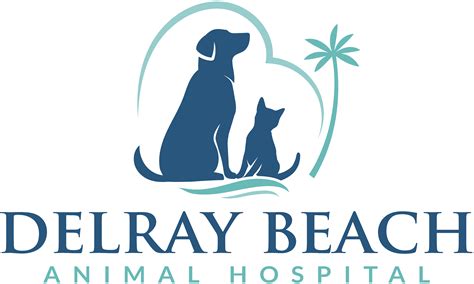 beach city animal hospital