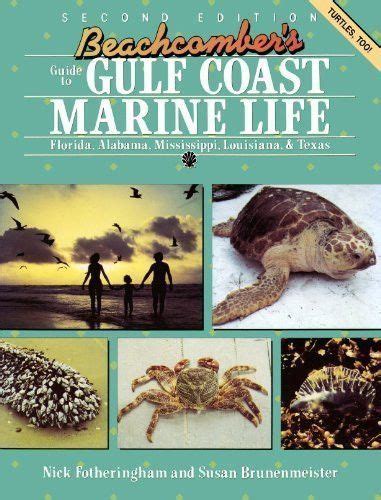 beachcombers guide to florida marine life PDF
