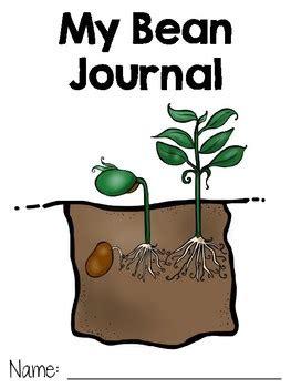 bean journal for kids PDF