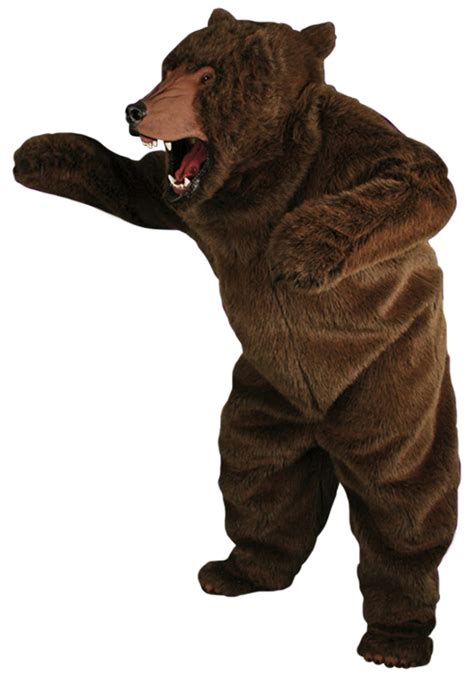 bear costume