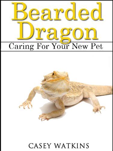 bearded dragon caring for your new pet reptile care guides Doc