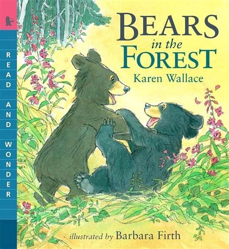 bears in the forest read and wonder read and wonder Reader