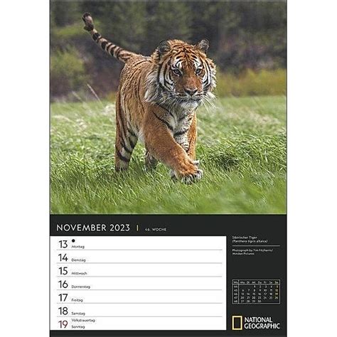 beautiful brosch renkalender wandkalender national geographics PDF