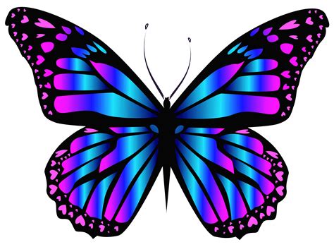beautiful butterfly pink purple and blue Doc