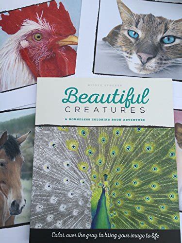 beautiful creatures a boundless coloring book adventure Kindle Editon