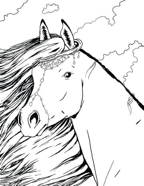 beautiful horses coloring book for adults Reader
