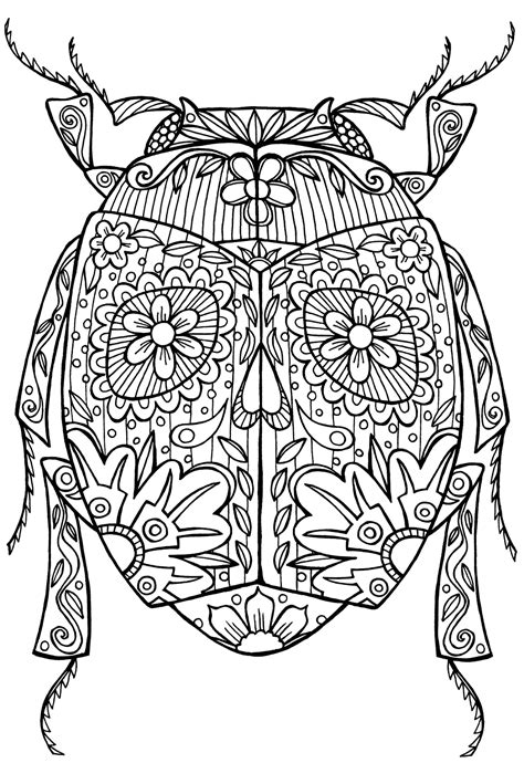 beautiful insects adult coloring book Reader
