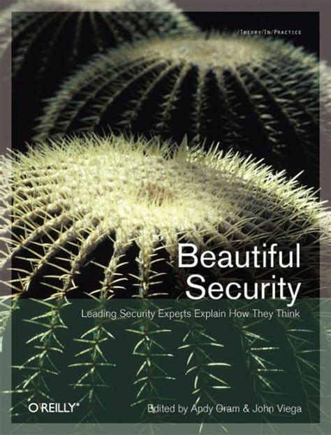 beautiful security leading security experts explain how they think Reader