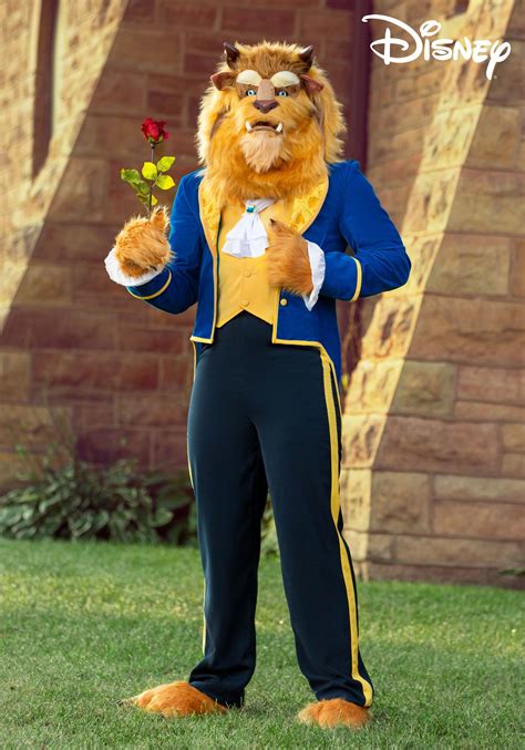 beauty and the beast costume