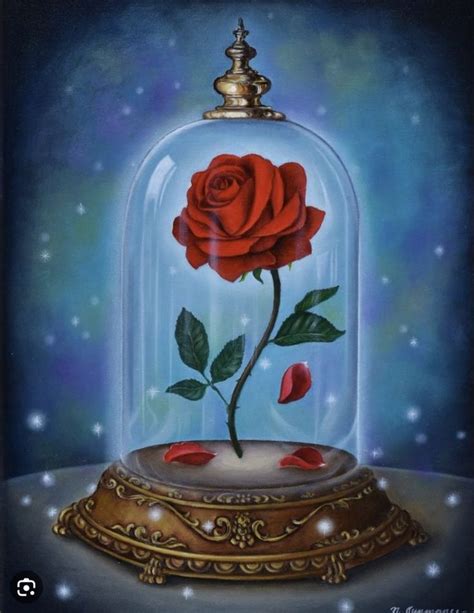 beauty and the beast rose