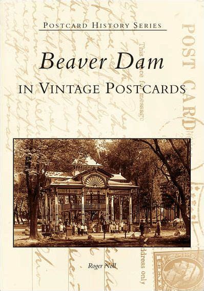 beaver dam in vintage postcards wi postcard history series Kindle Editon