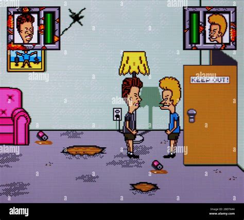 beavis and butthead sega genesis