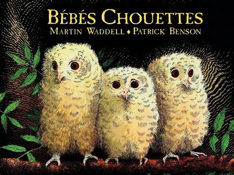 bebes chouettes carton waddell martin Reader