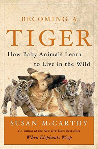 becoming a tiger how baby animals learn to live in the wild Kindle Editon