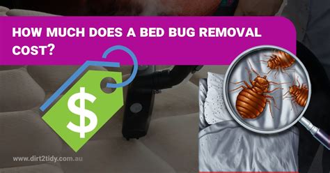 bed bug removal cost