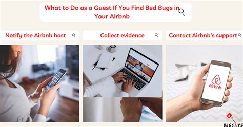 bed bugs airbnb refund